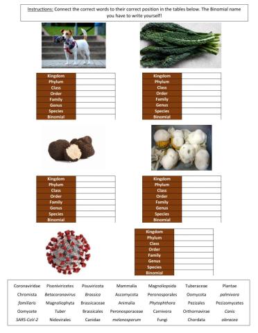 IGCSE Biology - Classification System