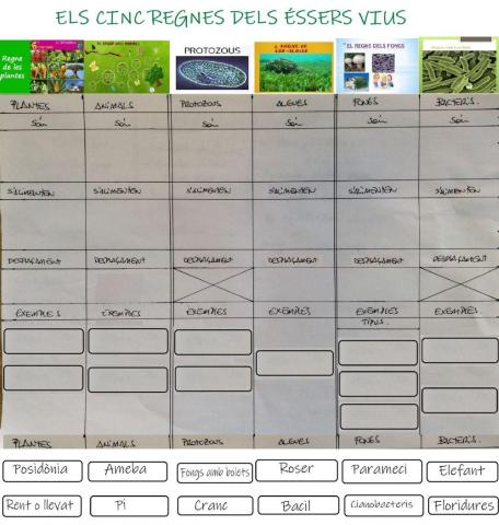 Esquema els 5 regnes dels éssers vius