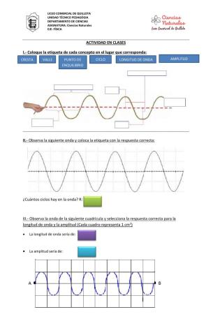 Ondas 1