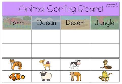 Animal Sorting Board