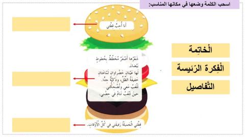 كتابة فقرة