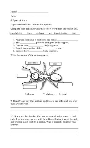 Invertebrates: Insects and Spiders