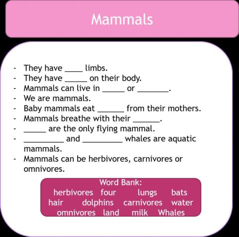 Mammals