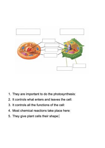 Cell parts