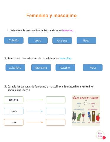 Femenino y masculino