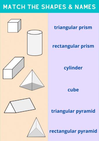 Match 3D shapes and names