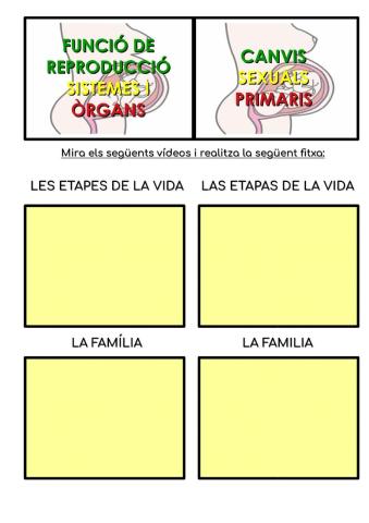 Les etapes de la vida i la família.