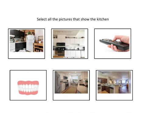 Match the Kitchen