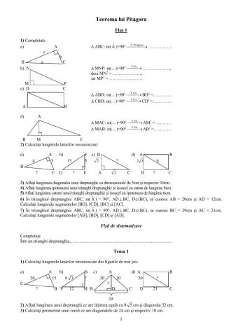 Clasa a 7-a test