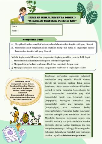 Pengamatan Tumbuhan Disekitar