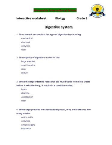 Digestive system