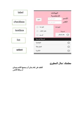 أدوات البرمجة في nsb