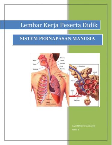 Sistem Pernapasan Manusia