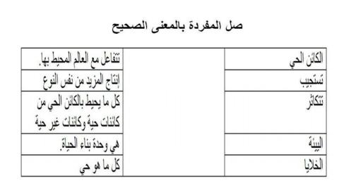 ما الكائنات الحية