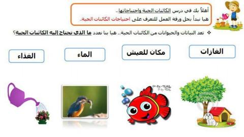 تدريب احتياجات الكائن الحي