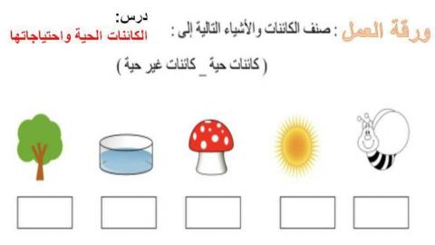 تدريب اصحاب الهمم