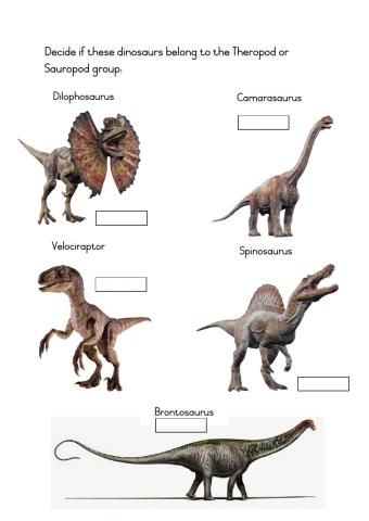 Theropod vs Sauropod