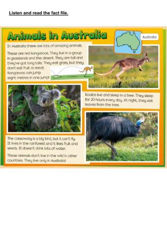 Animals in Australia