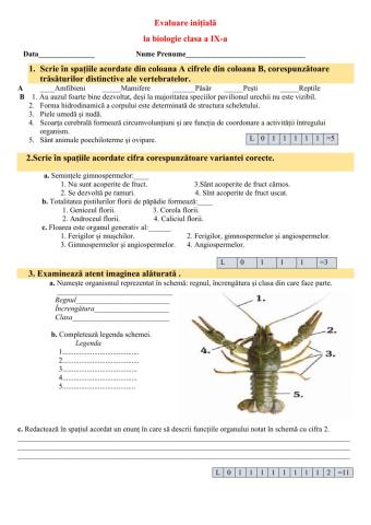 Evaluare Initiala