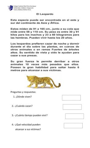 El Leopardo