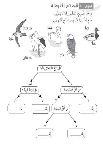 الحيوانات اللافقارية