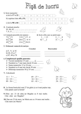 Fisa matematica