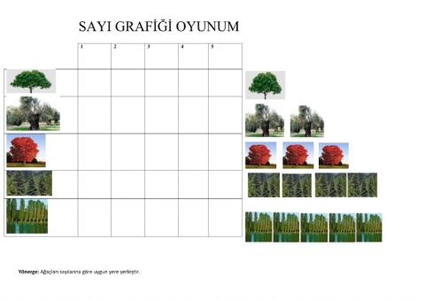 Sayı grafiği