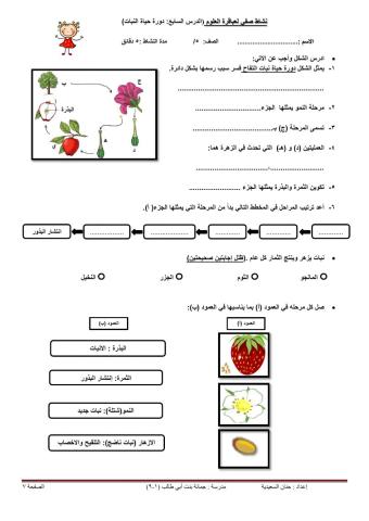 دورة حياة النبات