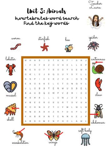 Invertebrates word search