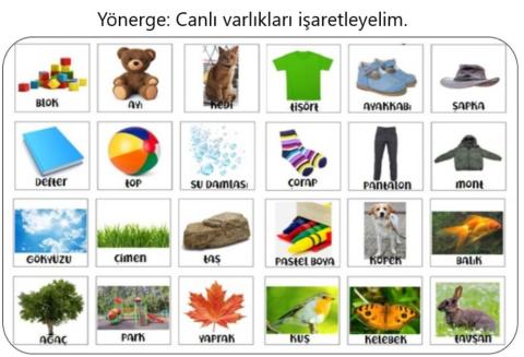 Canlı-cansız