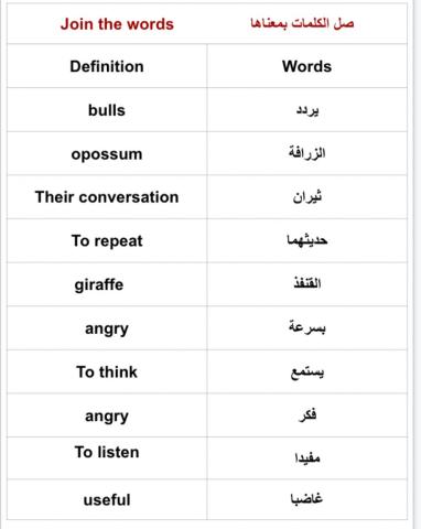 الببغاء الثرثار