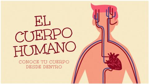 Cuerpo humano