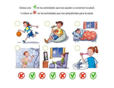 Actividades que ayudan a mantener la salud