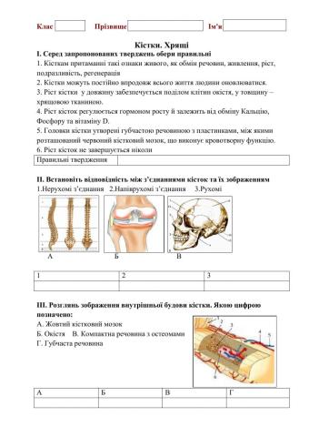 Кістки