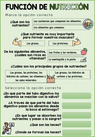 Función de nutrición