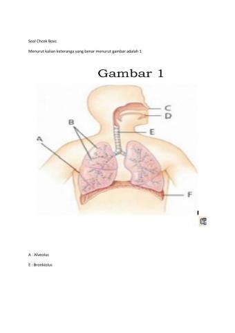 LKS sistem pernafasan