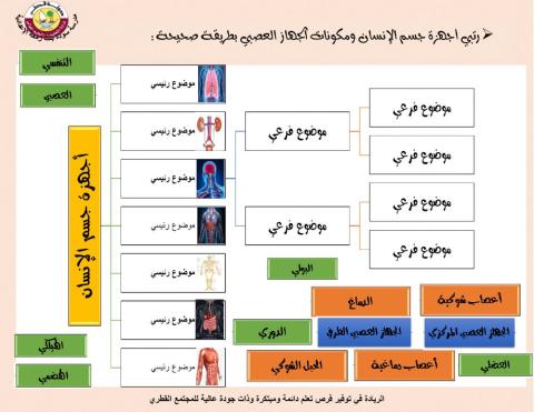 الاسبوع الثالث