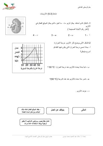 نشاط  3-5 حلم الوسطى- الانزيمات