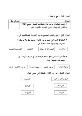 نشاط لمملكة البدائيات والفطريات والنباتات