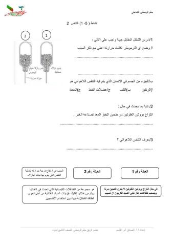نشاط 5-1 حلم الوسطى- التنفس رقم 2