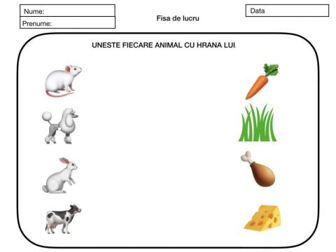 Cunoașterea mediului