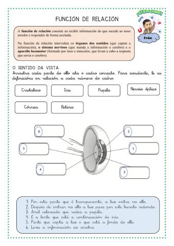 Función de relación dos seres humanos