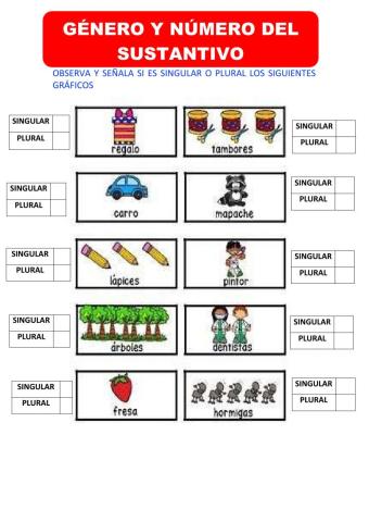 Genero Y Número del sustantivo
