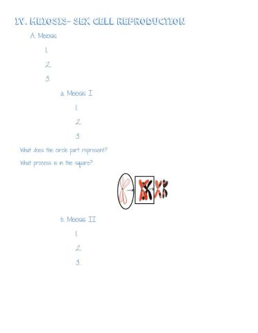 Meiosis Note Sheet