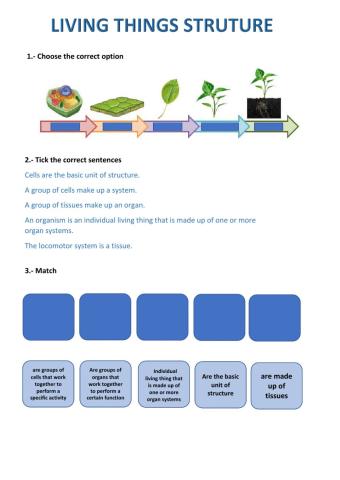 Levels or organization of living things