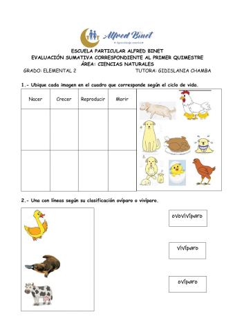 Evaluación Quimestre 1