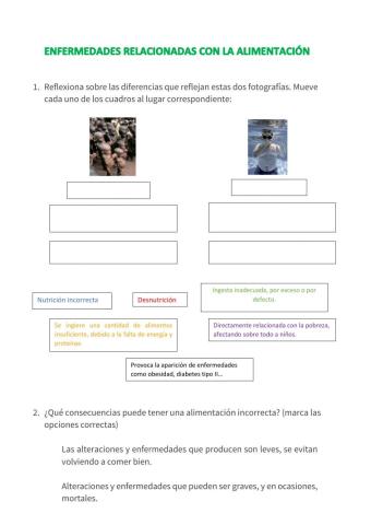 Enfermedades relacionadas con la alimentación