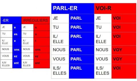 Verbes en -er vs. Verbes irréguliers