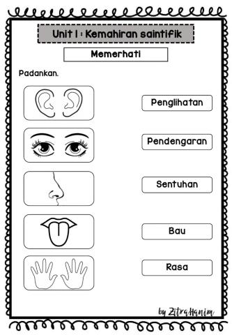 Sains tahun 2 memerhati