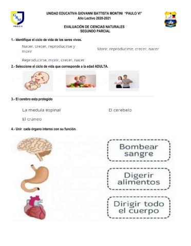 Evaluación ii ccnn